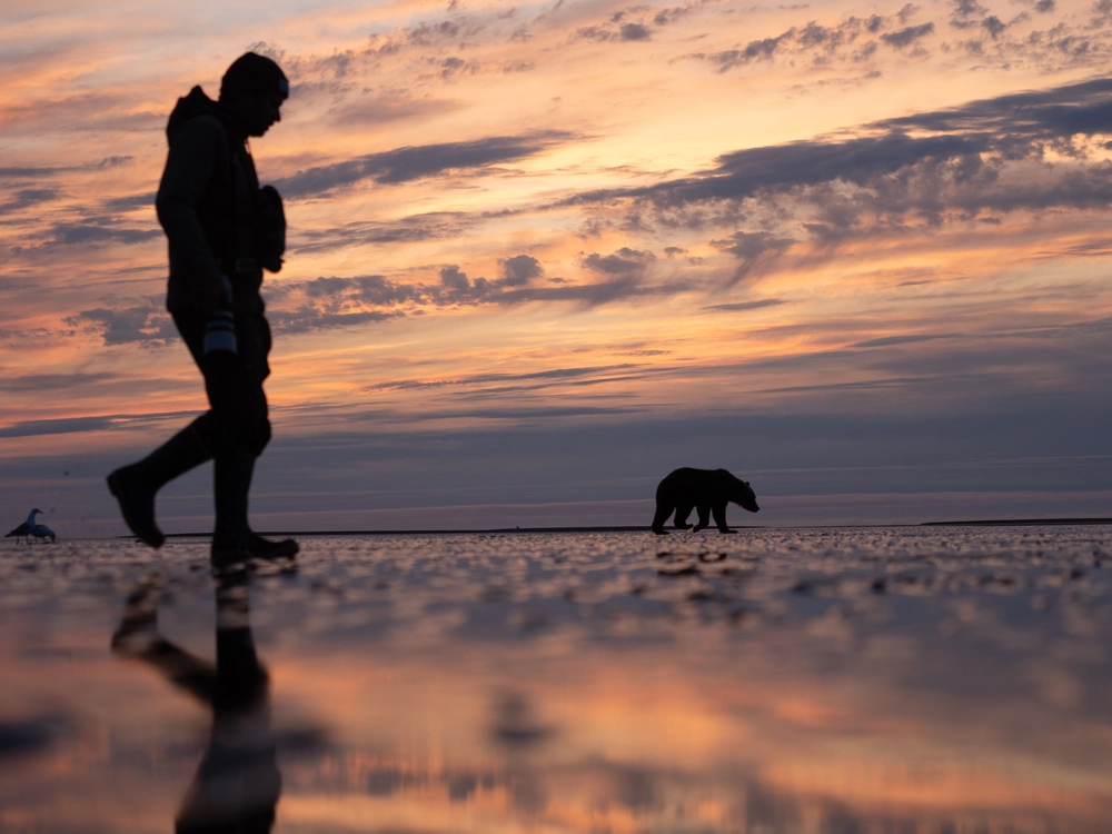 Man walking on beach Bear Coast in Alaska